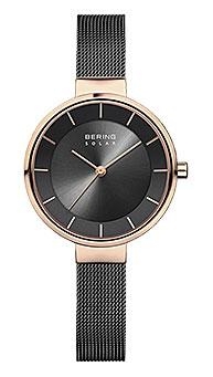 Bering 14631-166