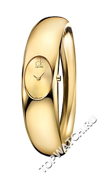 Calvin Klein K1Y22209 Calvin Klein K1Y22209