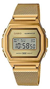 Casio A1000MG-9EF