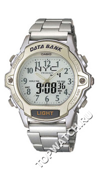 Casio ABX-24D-8B