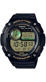 Casio CPA-100-9A