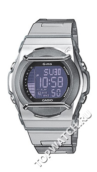 Casio MSG-160D-1V