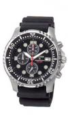 Citizen AN1130-01E Citizen AN1130-01E