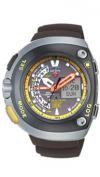 Citizen JV0055-00E Citizen JV0055-00E