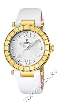 Festina 16647.1